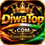 diwa top