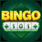 bingo 101